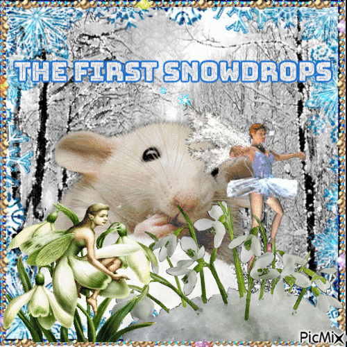 The First Snowdrops - GIF animado grátis