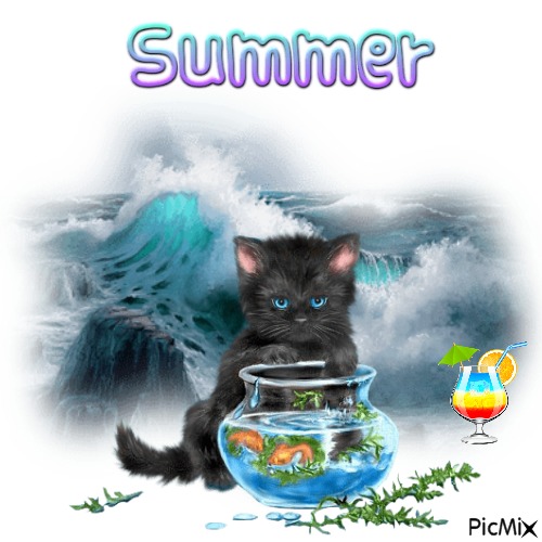 Summers Raging Waters - png gratis