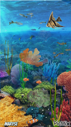 sea - Darmowy animowany GIF