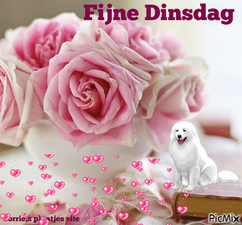 DINSDAG - Gratis animerad GIF