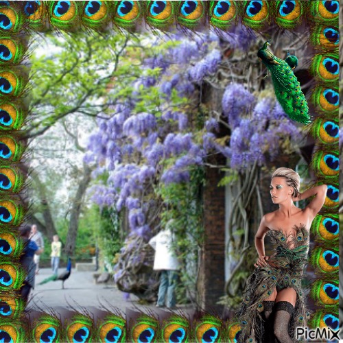 Peacock Wysteria 5 - Free PNG