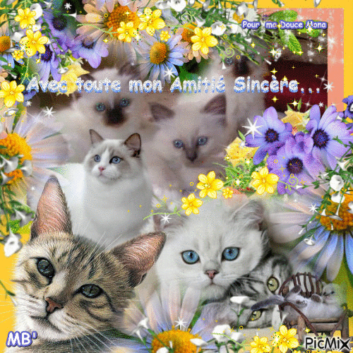 * Des Regards Indicibles - Chats d'Amour pour Mona * - Darmowy animowany GIF