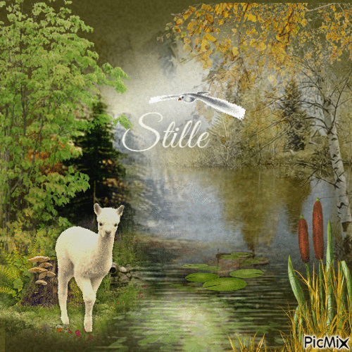 Stille ... - Ücretsiz animasyonlu GIF