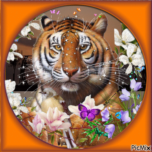 le tigre - GIF animasi gratis