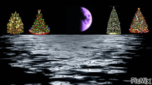 Christmas Trees next to the water - Gratis animerad GIF