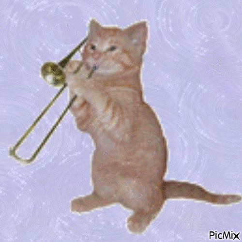 Kitten - Zdarma animovaný GIF