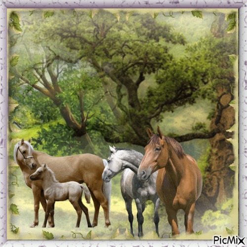 Pferde in der Natur - png gratis