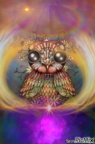 owl - png ฟรี