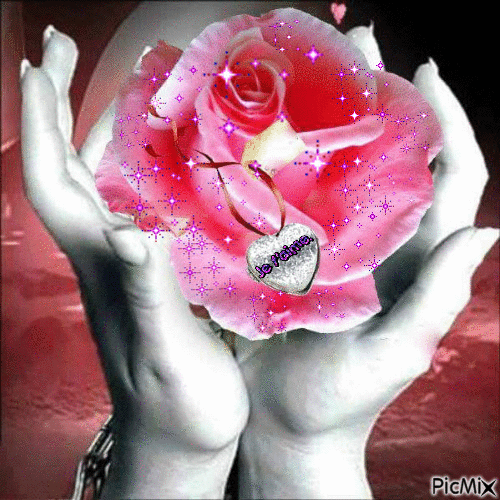 le rose d'amour - GIF animado grátis