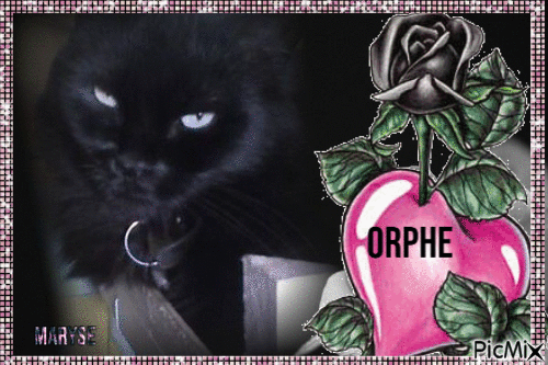 ORPHE - GIF animé gratuit