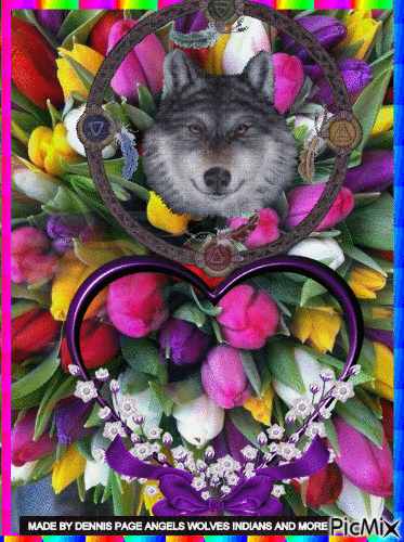 WOLF IN TULIPS - Free animated GIF