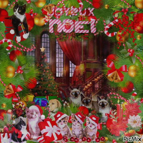 Miaou nous vous souhaitons un joyeux Noël Miaou - Kostenlose animierte GIFs