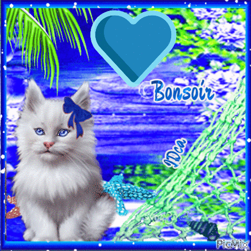 Bonsoir les chatons - Бесплатный анимированный гифка