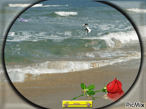 la mer - Bezmaksas animēts GIF