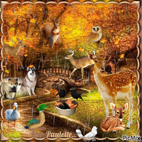 animaux d'automne - Free animated GIF