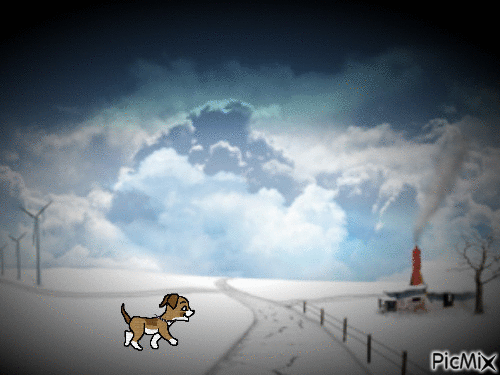 Le chien de la nuit - 無料のアニメーション GIF