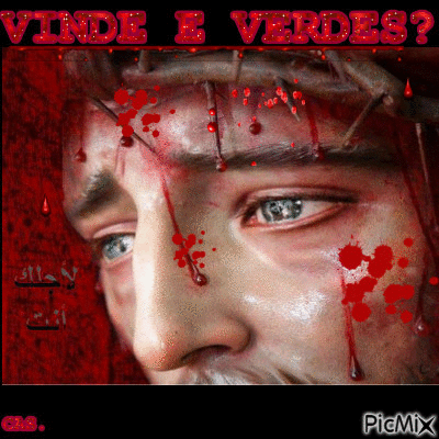 VINDE E VERDES ? - Безплатен анимиран GIF