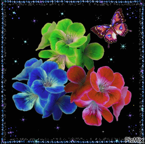 Flowers and Butterfly - Free animated GIF - PicMix