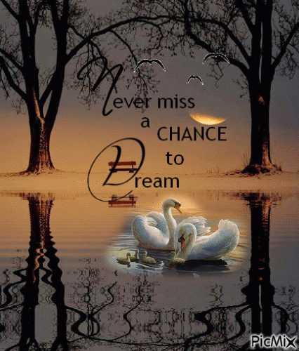 Never miss a Chance to Dream - Darmowy animowany GIF