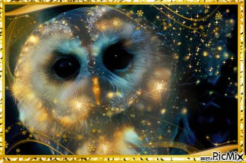 OWL SHIMMER - Бесплатный анимированный гифка