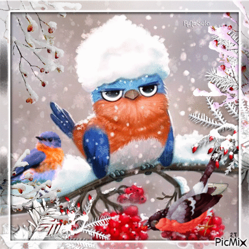 Birds in Winter-contest - GIF animado grátis