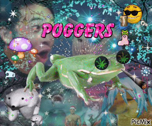 poggers frog - Free animated GIF