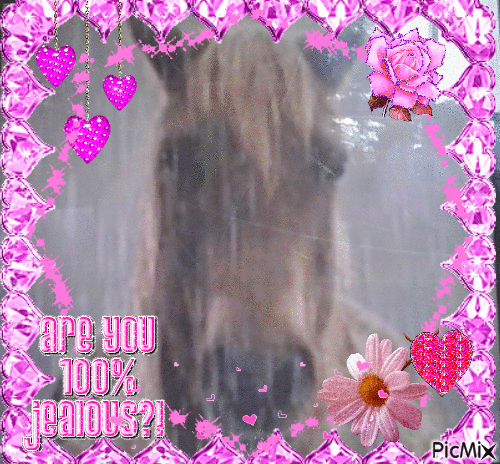 my lovely horse - Darmowy animowany GIF