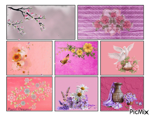 Pink collage - Бесплатни анимирани ГИФ