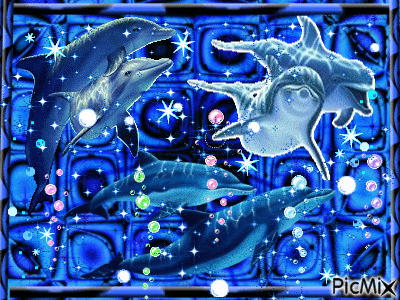 Cadeau toute Bleu des Dauphins pour Lollypink - 無料のアニメーション GIF