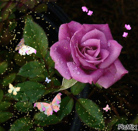 La Rosa que inspira - Bezmaksas animēts GIF