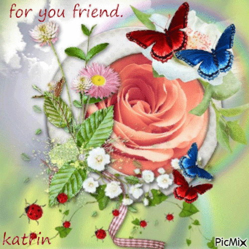 cadeau de mon amie  Katrin  ( katrinka ) ♦ - Ingyenes animált GIF