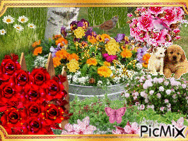 PRETTY FLOWERS IN A TUB AND AROUND THE TUB, A CAT, A DOG, AND A BUTTERFLY. - Gratis geanimeerde GIF
