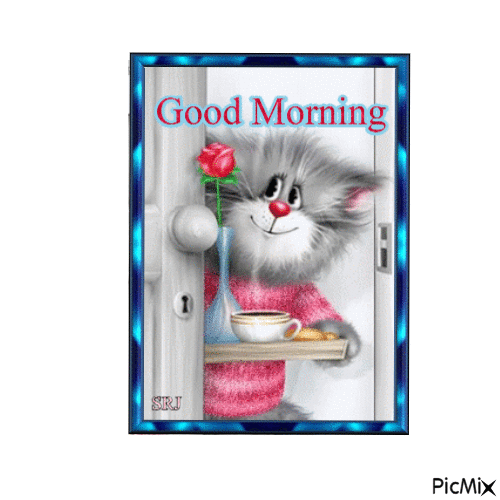 Good Morning Cat - Free animated GIF