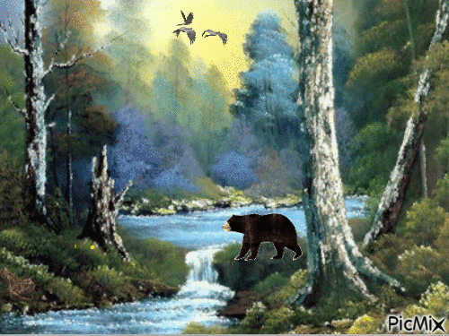 Black Bear - Animovaný GIF zadarmo