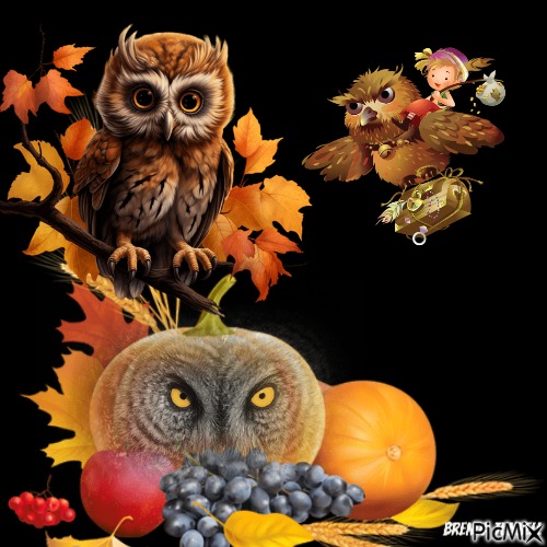 Thanksgiving owl - png gratis