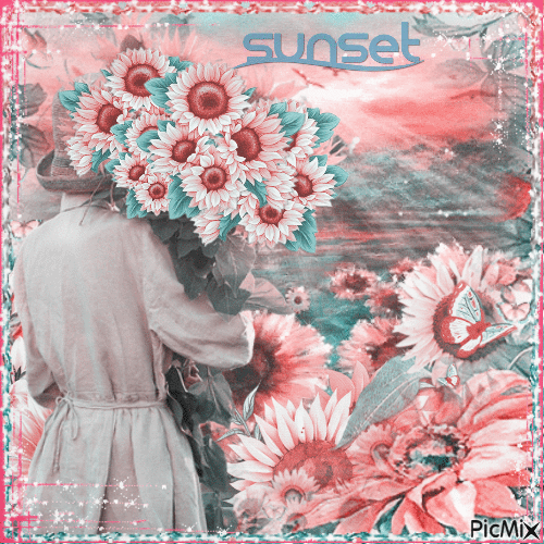 Sunset over a field of flowers - 免费动画 GIF