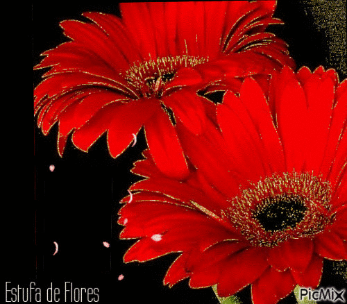 Flores 🌸🌸 - Ingyenes animált GIF