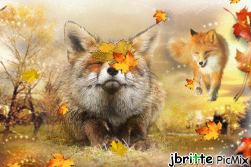 renard en automne - GIF animate gratis