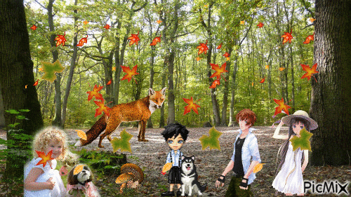 foret en automne - Free animated GIF