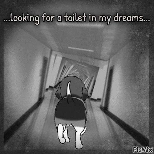 Bad Dreams - 無料のアニメーション GIF