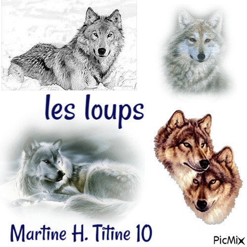 les loups - 免费PNG