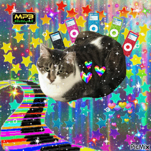 Musical moon cat - GIF animé gratuit