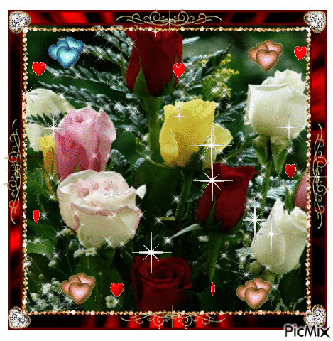 Roses in many colors - Δωρεάν κινούμενο GIF