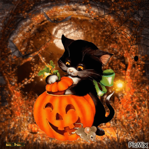 Halloween-cat-pumpkin-orange - Besplatni animirani GIF