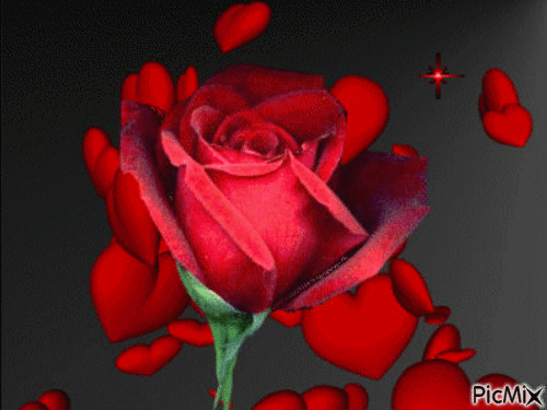 Red Rose - Безплатен анимиран GIF