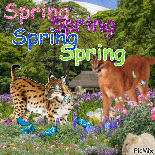 spring - Ilmainen animoitu GIF