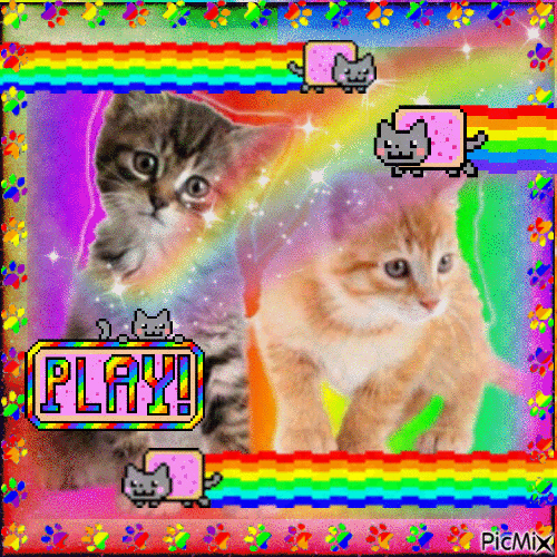 Rainbow kittens - Animovaný GIF zadarmo