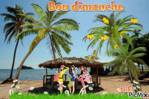 Bon dimanche " plage " - Darmowy animowany GIF