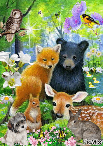 ANIMALS IN THE WOODS, DUCKS ON THE POND, FLOWERS BLOWING AND BIRDS AND BUTTERFLIES. - GIF animé gratuit