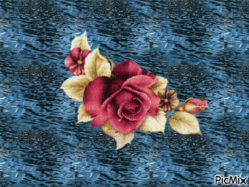 růže na vodě - Бесплатный анимированный гифка
